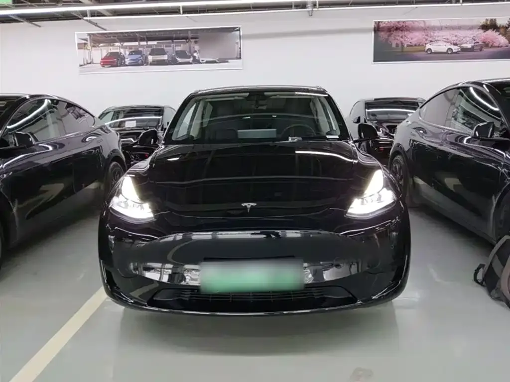 Tesla Model Y — фото 7