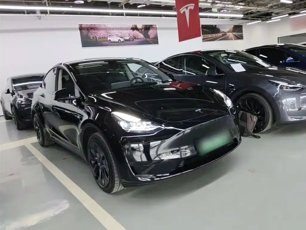 Tesla Model Y — фото 10