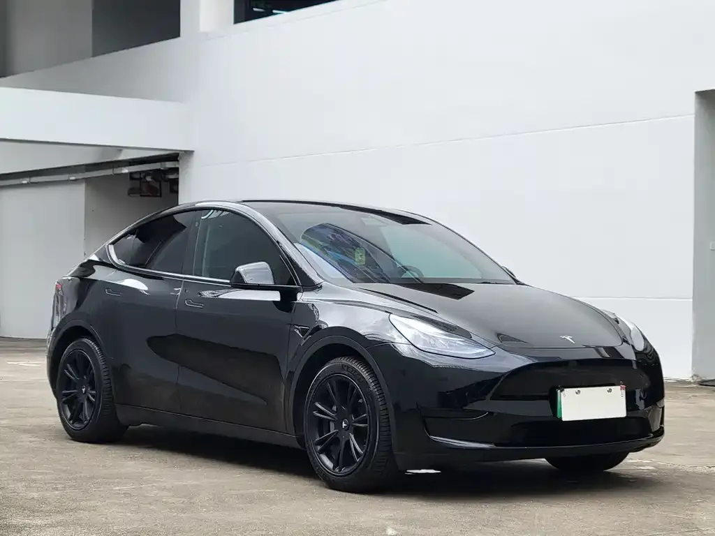 Tesla Model Y 2022 из CN, фото 5