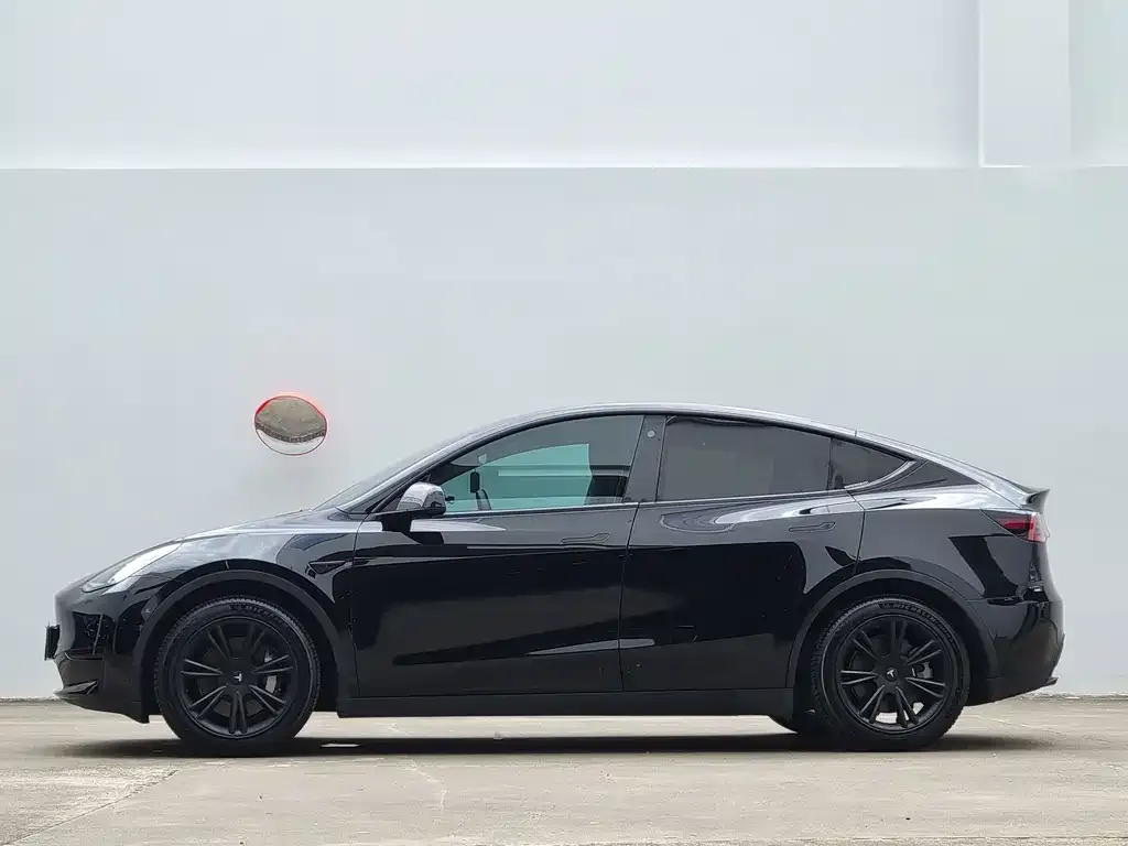 Tesla Model Y 2022 из CN, фото 2
