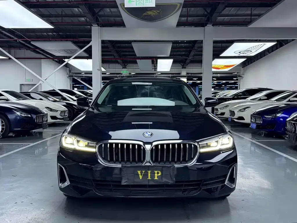 BMW 5 Series 2021 из CN, фото 4