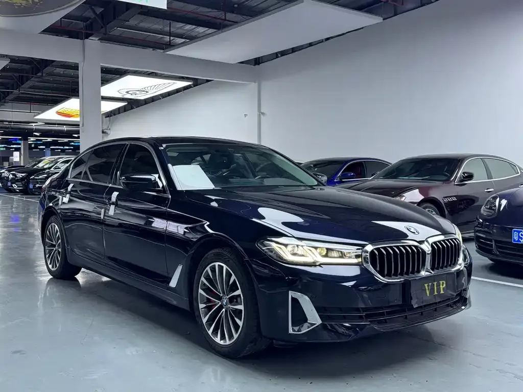 BMW 5 Series 2021 из CN, фото 2
