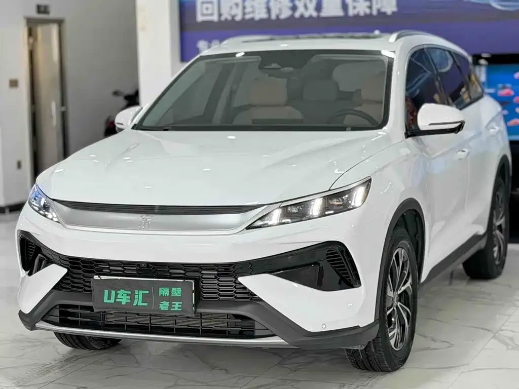 BYD Pro New Energy — фото 1