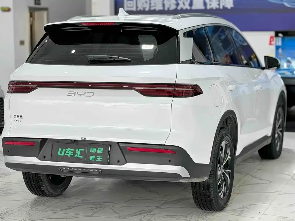 BYD Pro New Energy — фото 8