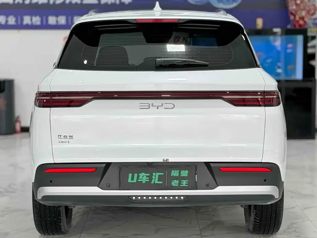 BYD Pro New Energy — фото 5