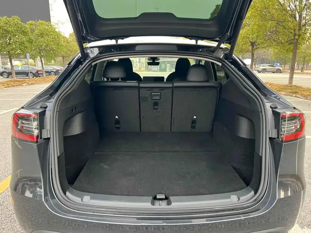 Tesla Model Y — фото 8