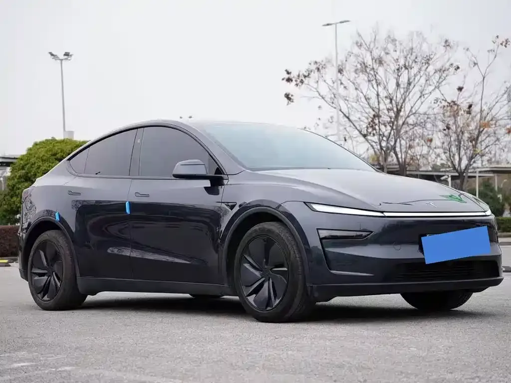 Tesla Model Y — фото 4