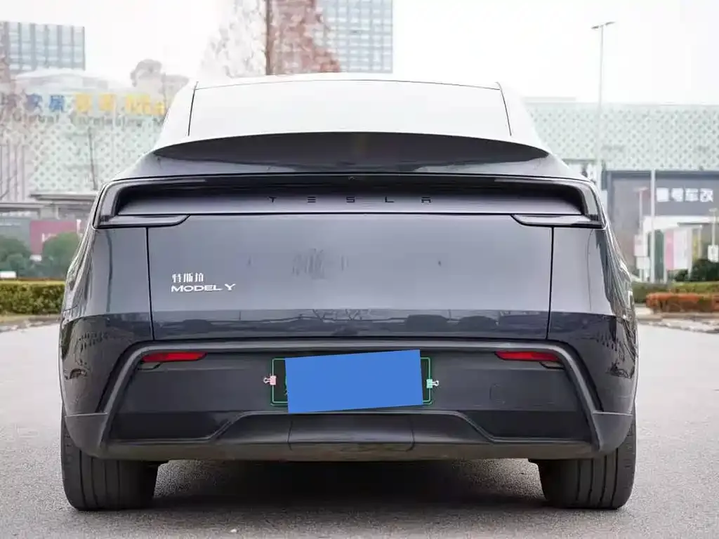 Tesla Model Y — фото 2