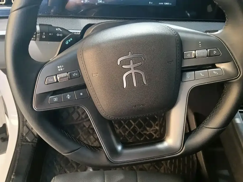BYD Pro New Energy — фото 7