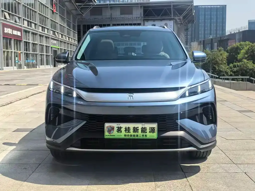 BYD Pro New Energy — фото 4
