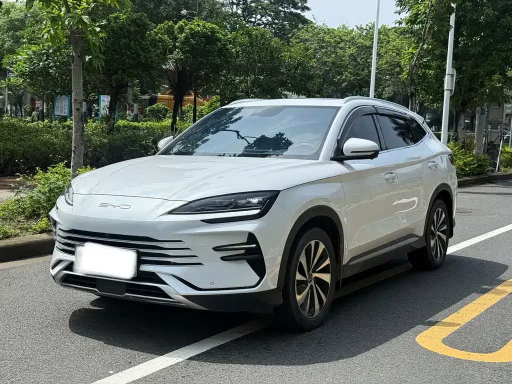 BYD PLUS New Energy — фото 1