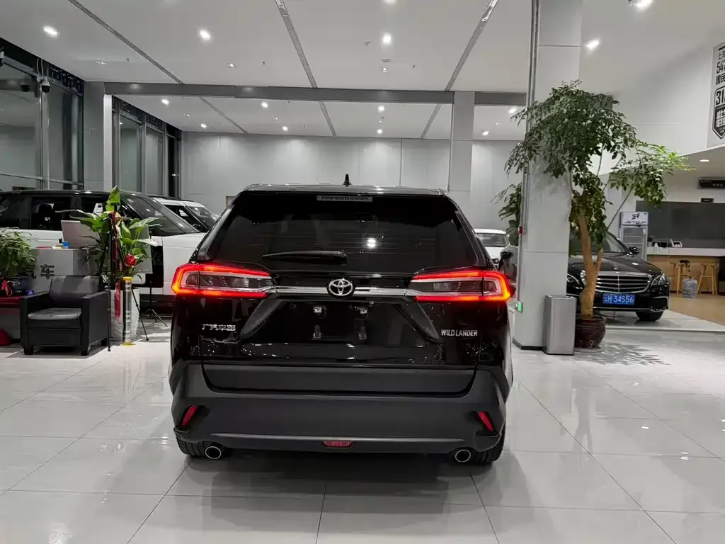 Toyota Wildlander 2023 из CN, фото 7