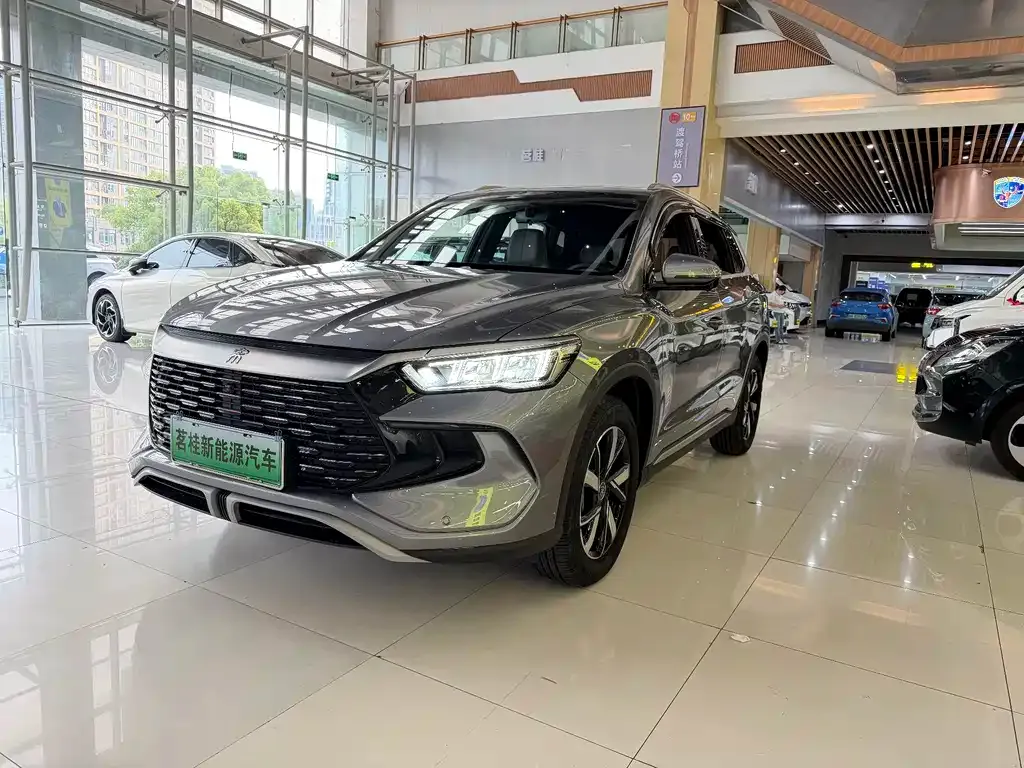 BYD Pro New Energy — фото 1
