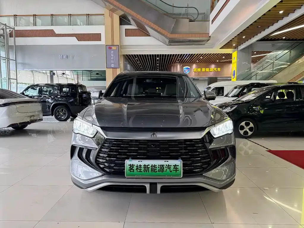 BYD Pro New Energy — фото 3