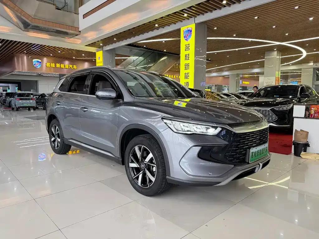 BYD Pro New Energy — фото 9