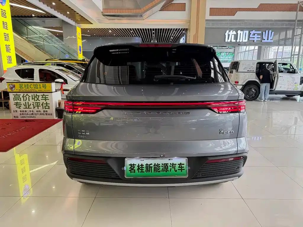 BYD Pro New Energy — фото 7