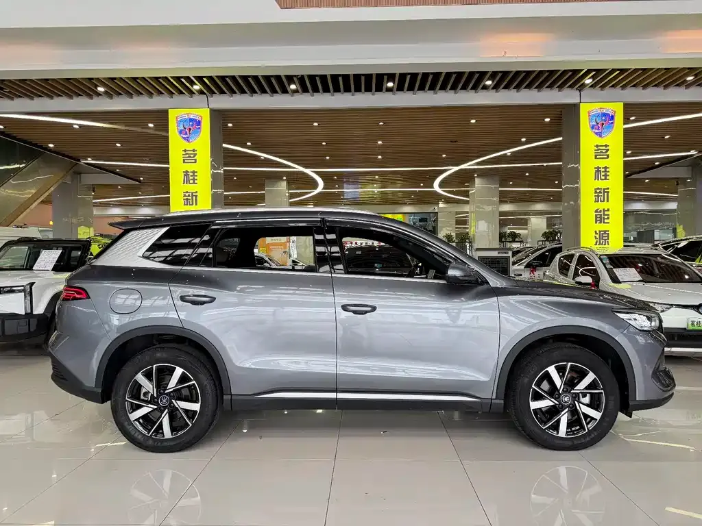 BYD Pro New Energy — фото 6