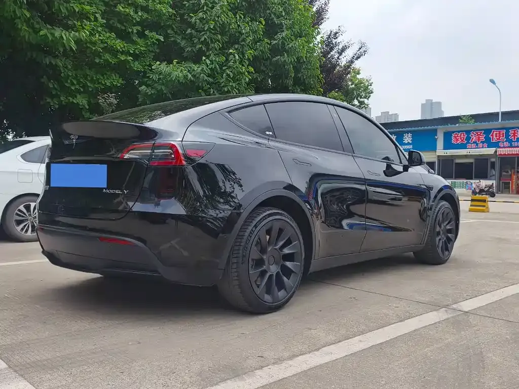 Tesla Model Y — фото 6