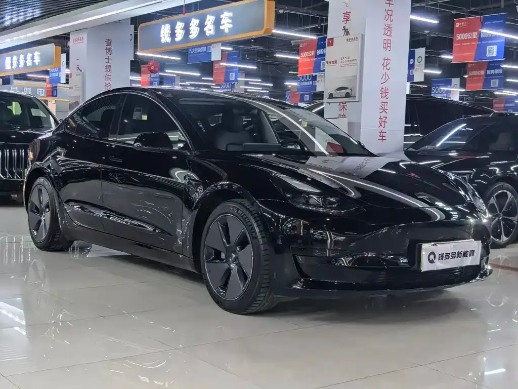Tesla Model 3 2021 из CN, фото 2