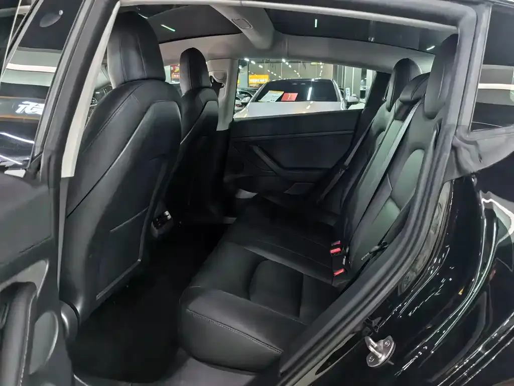 Tesla Model 3 2021 из CN, фото 5