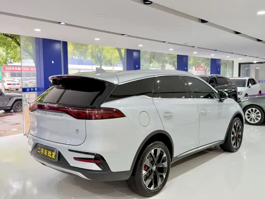 BYD Tang New Energy — фото 10