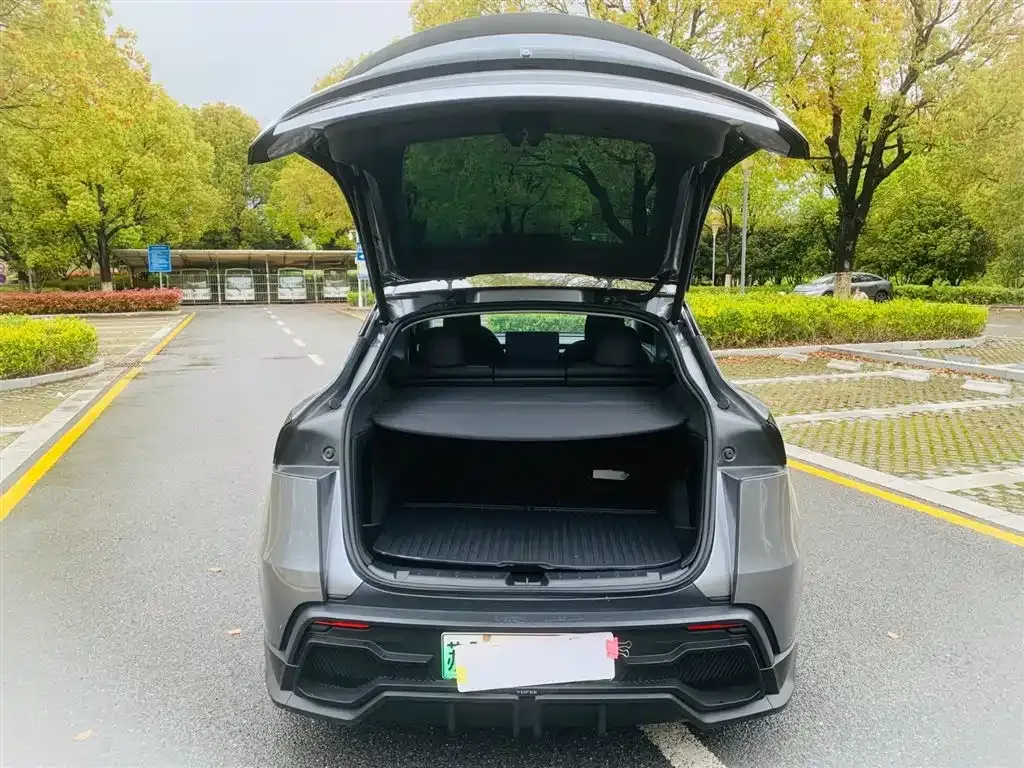 Tesla Model Y — фото 2