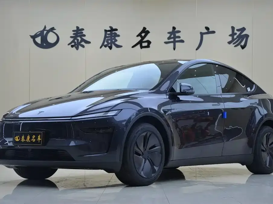 Tesla Model Y — фото 1