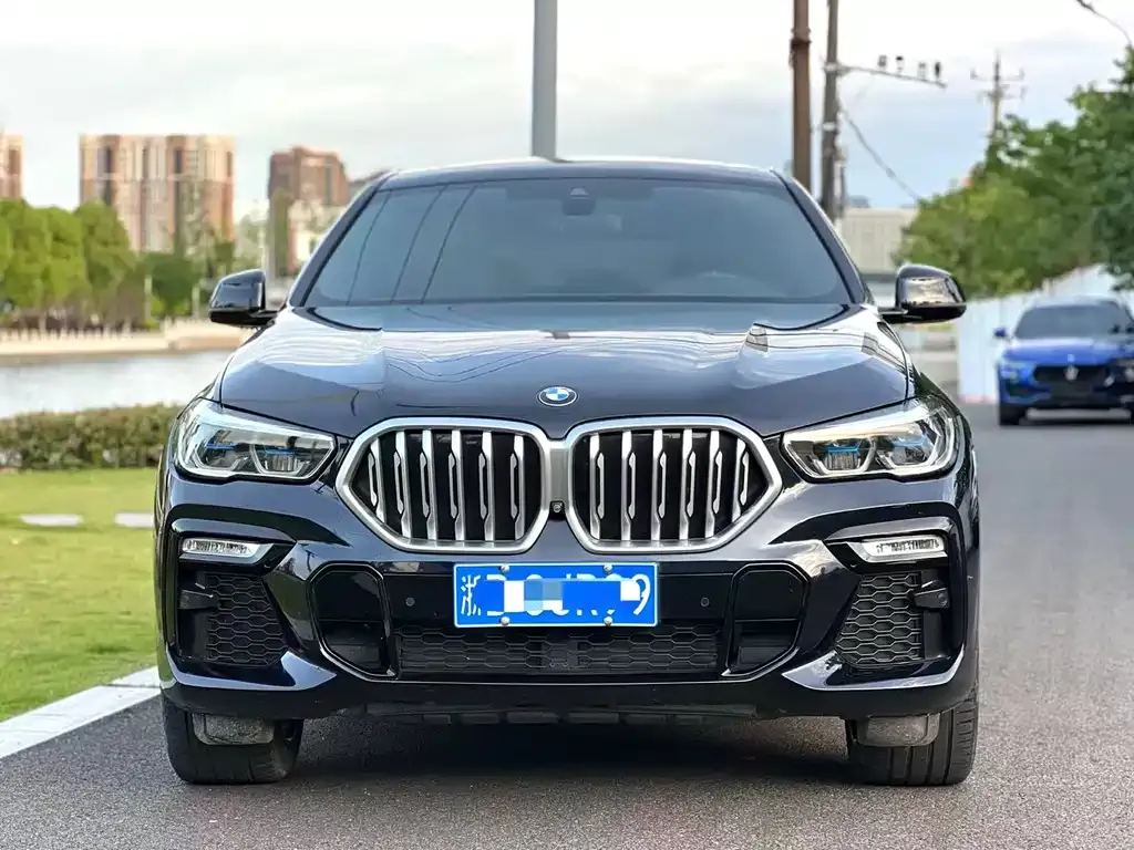 BMW X6 2021 из CN, фото 3