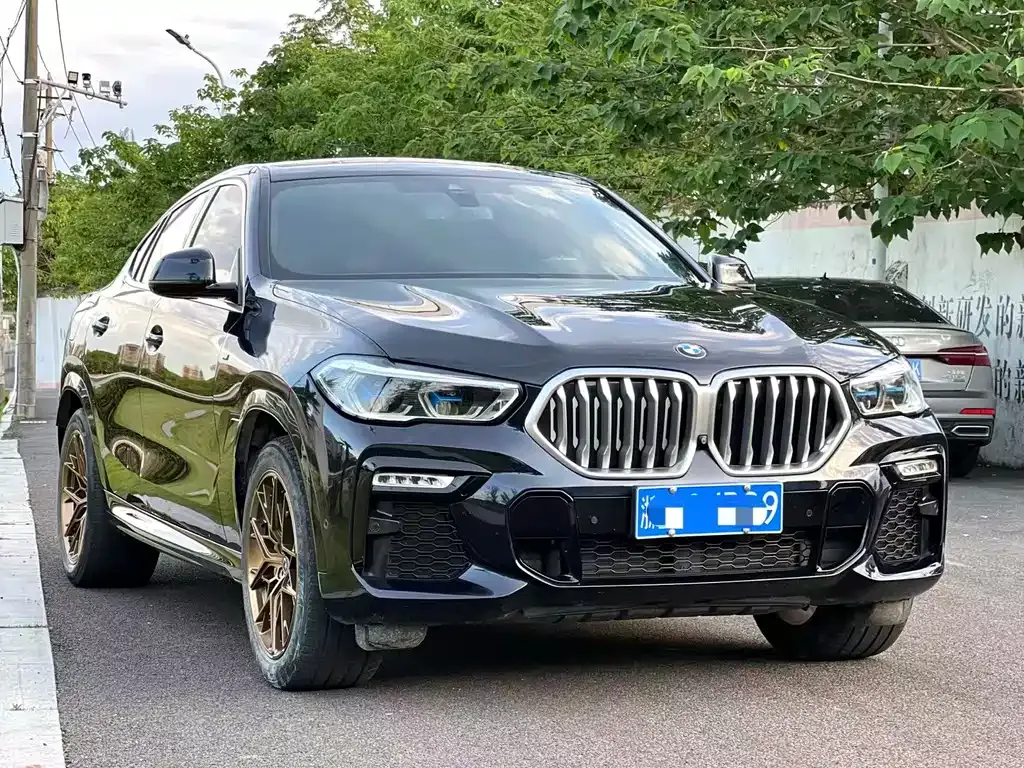 BMW X6 2021 из CN, фото 5