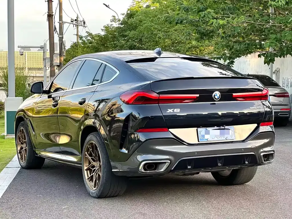 BMW X6 2021 из CN, фото 7