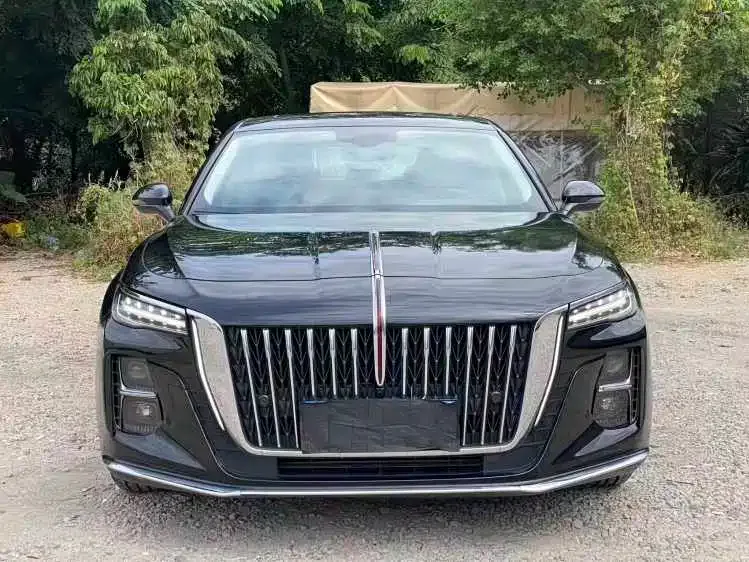 Hongqi H5 2023 из CN, фото 2