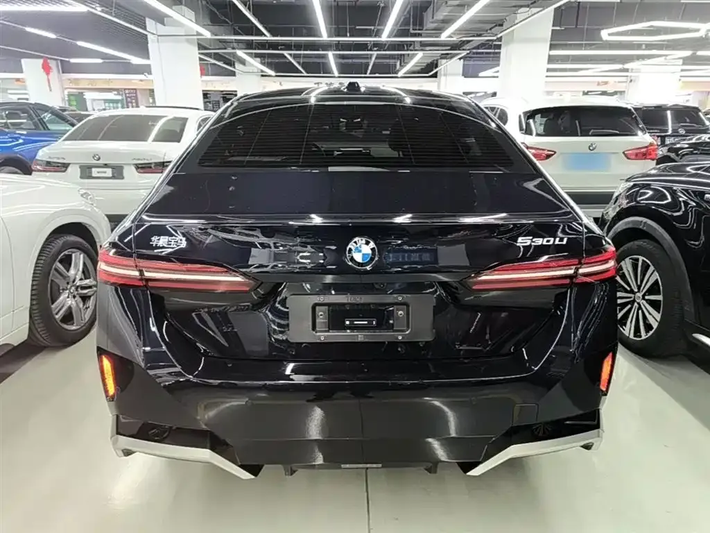 BMW 5 Series 2025 из CN, фото 8