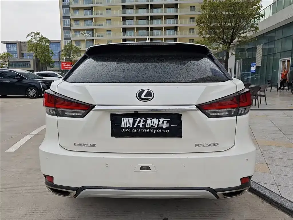 Lexus RX — фото 10
