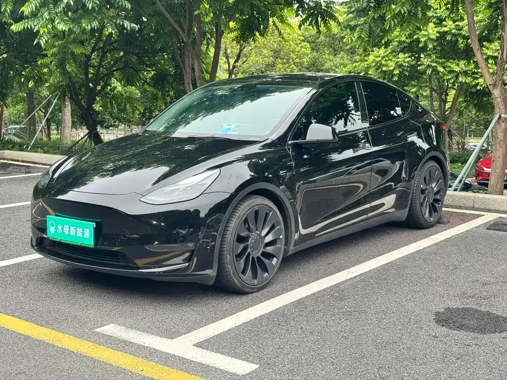 Tesla Model Y — фото 1