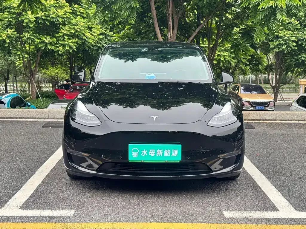Tesla Model Y — фото 10