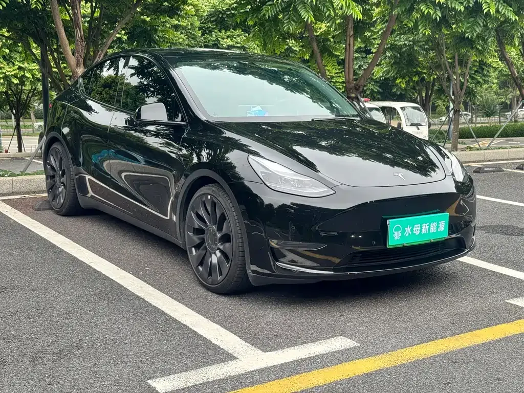 Tesla Model Y — фото 9