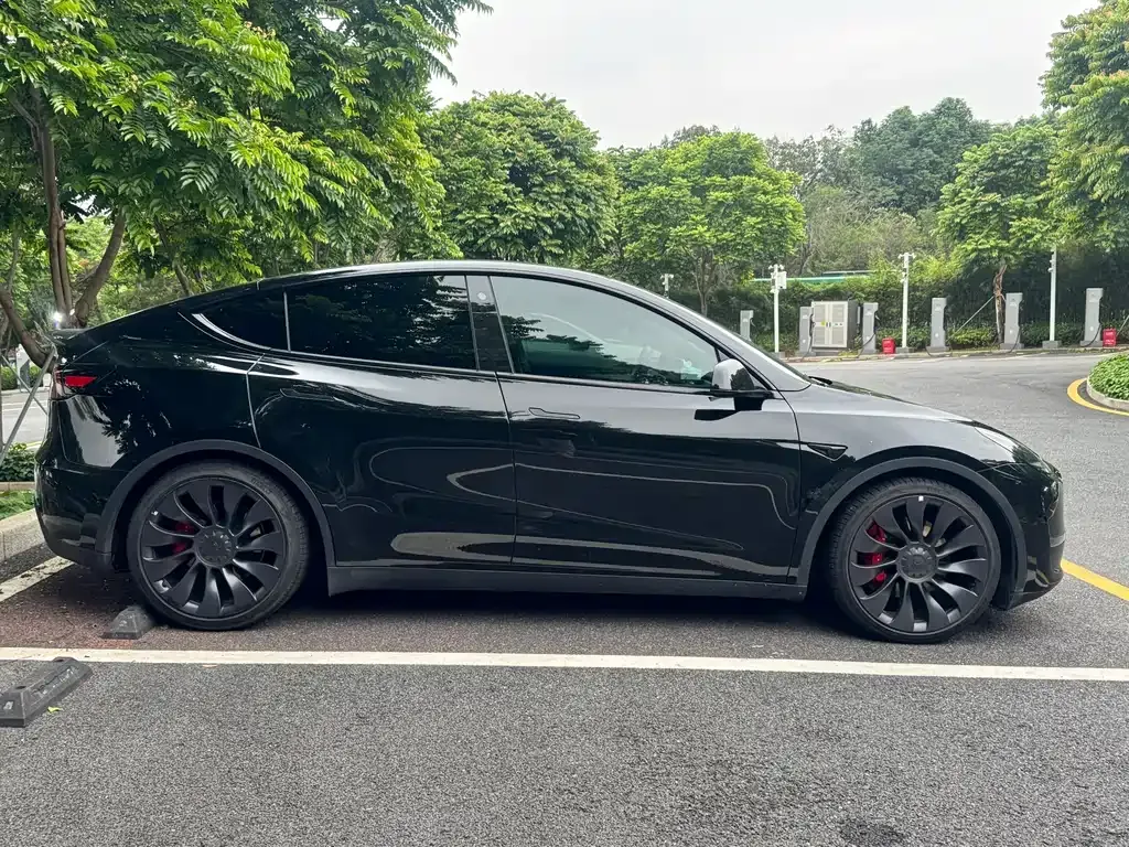 Tesla Model Y — фото 8