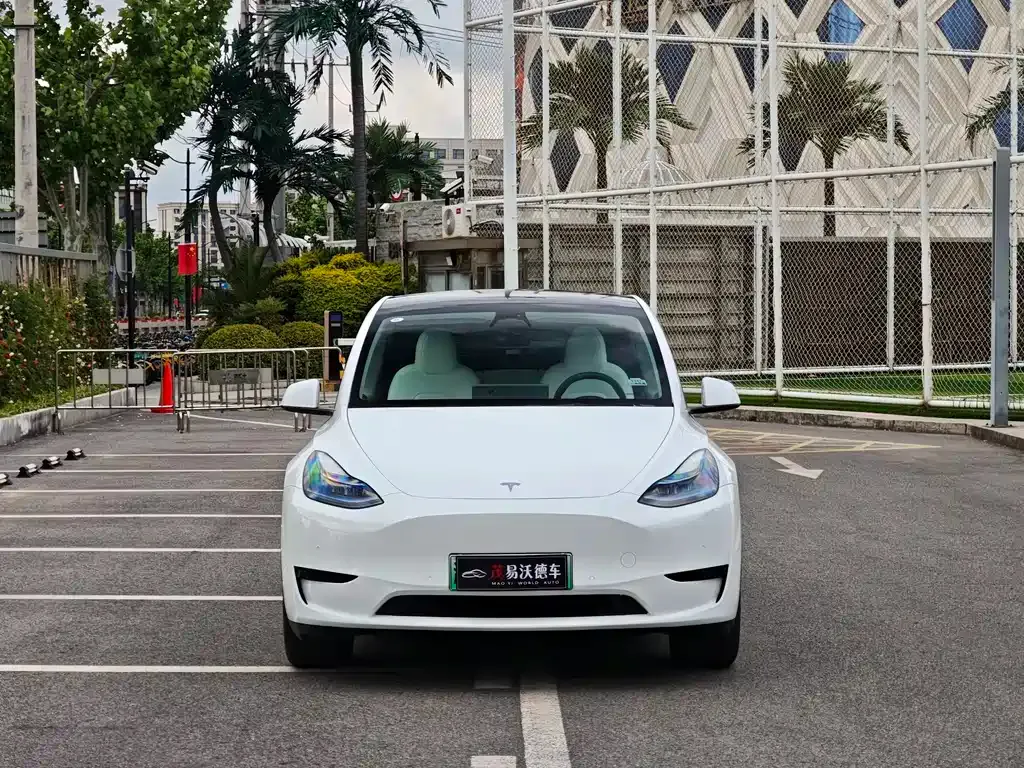 Tesla Model Y — фото 7