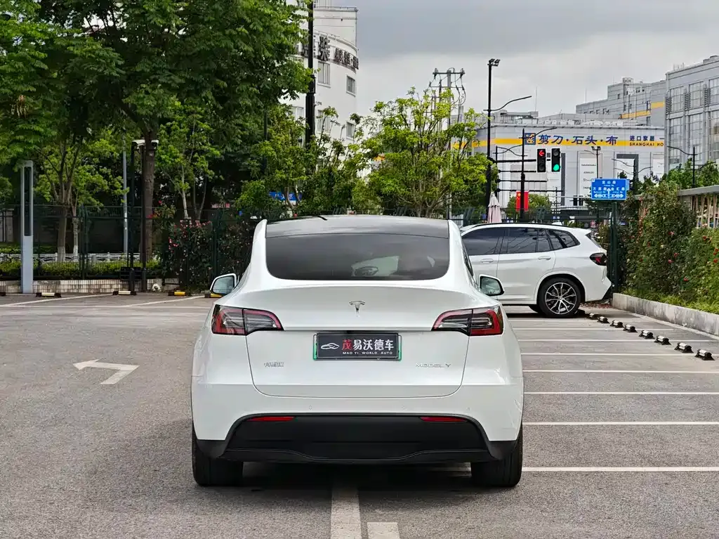 Tesla Model Y — фото 8