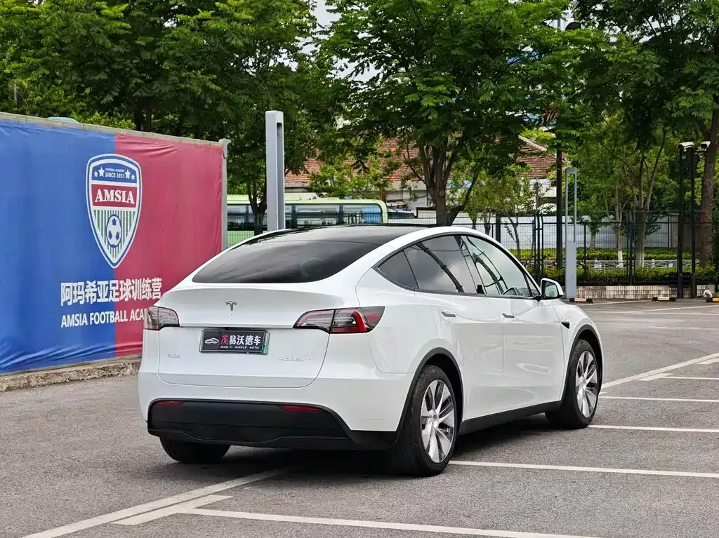 Tesla Model Y — фото 10