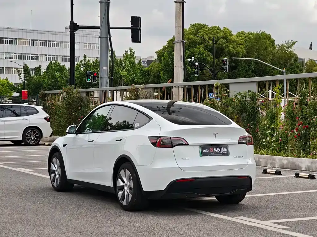 Tesla Model Y — фото 2