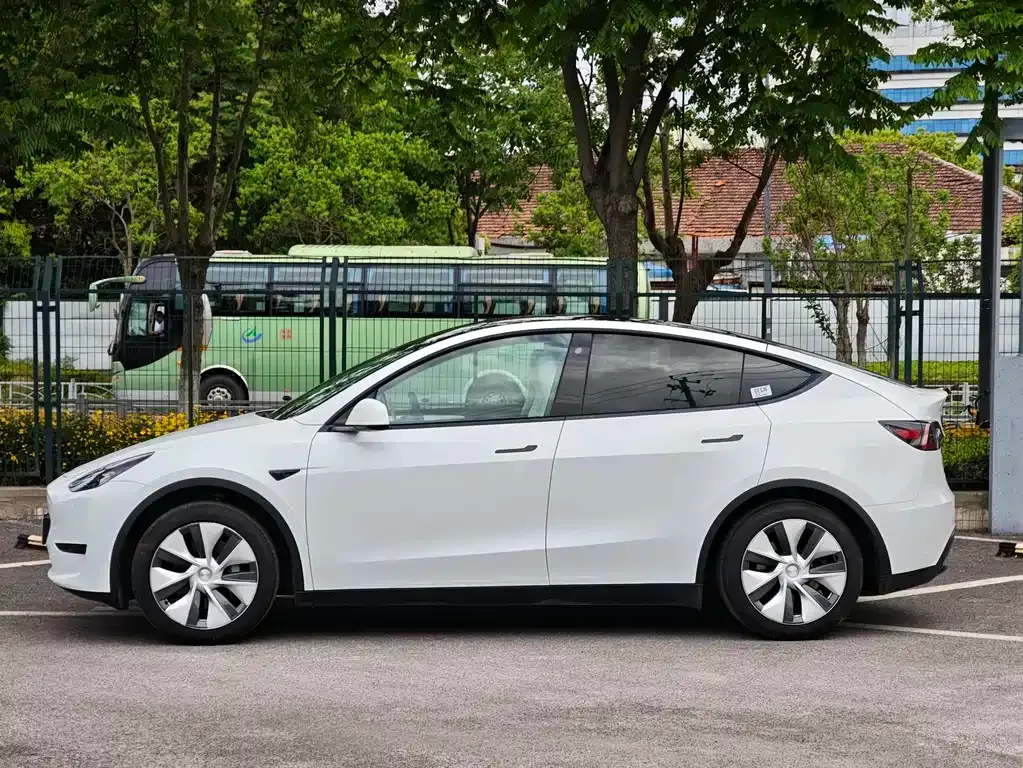 Tesla Model Y — фото 9