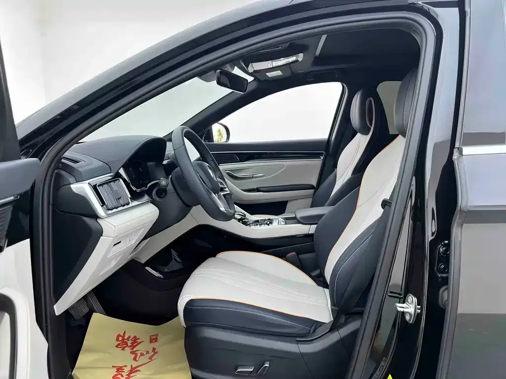 BYD PLUS New Energy — фото 8