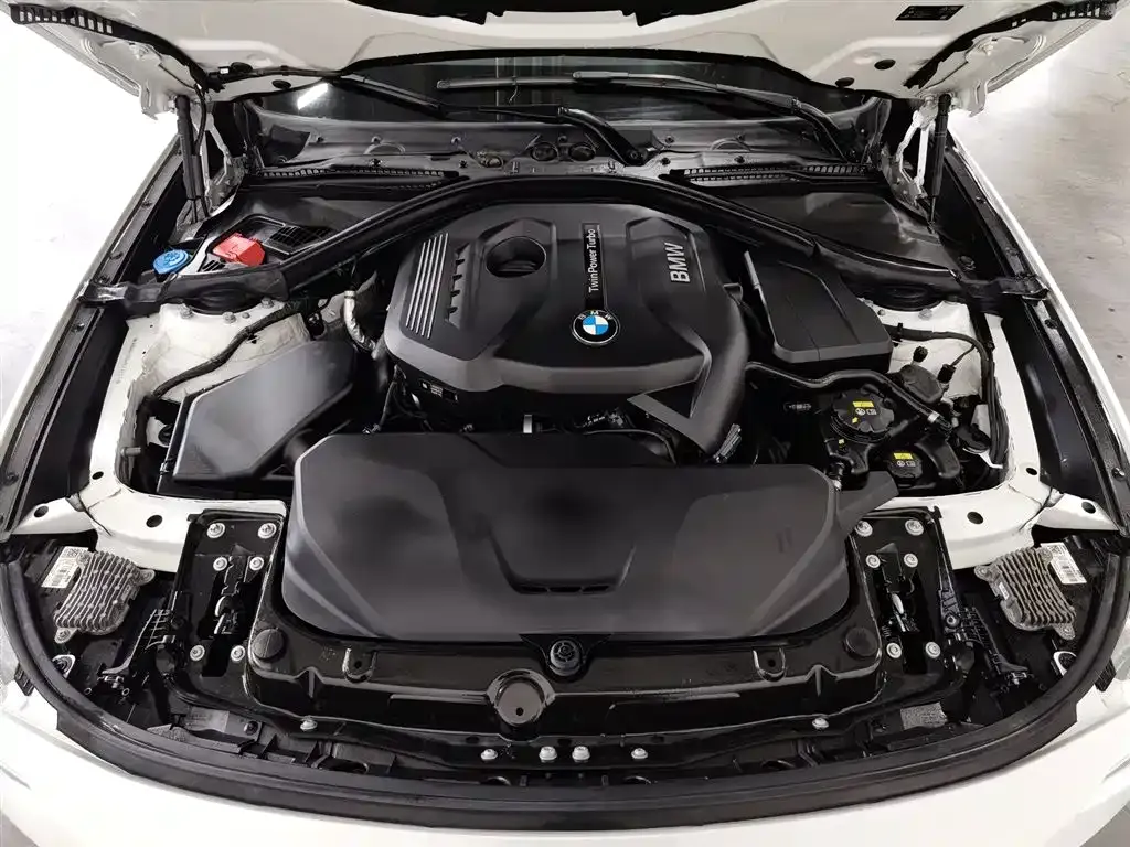 BMW 3 Series GT 2021 из CN, фото 9