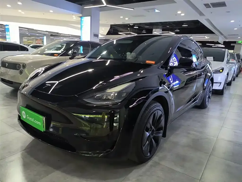 Tesla Model Y — фото 8