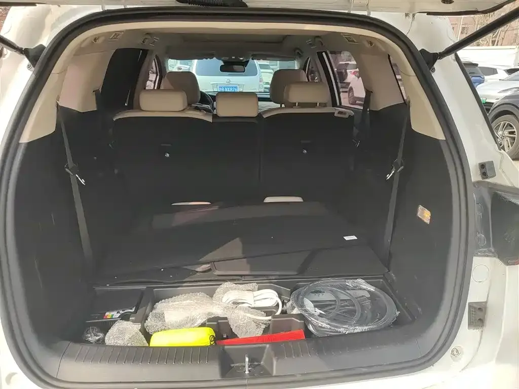 BYD MAX New Energy 2023 из CN, фото 9