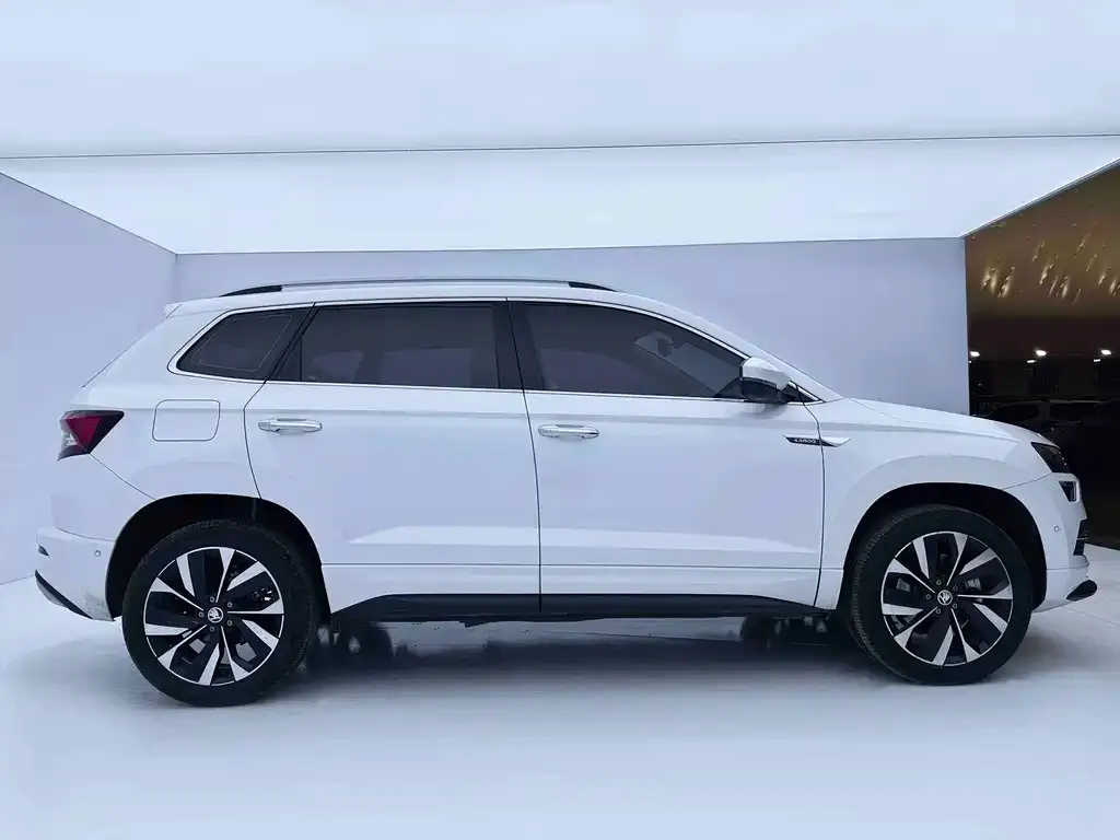 Skoda Karoq — фото 8