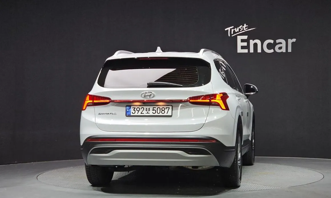 Hyundai Santafe 2023 из KR, фото 6