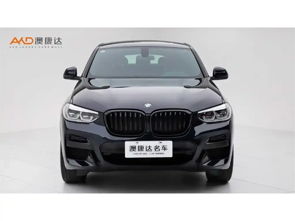 BMW X4 2021 из CN, фото 8