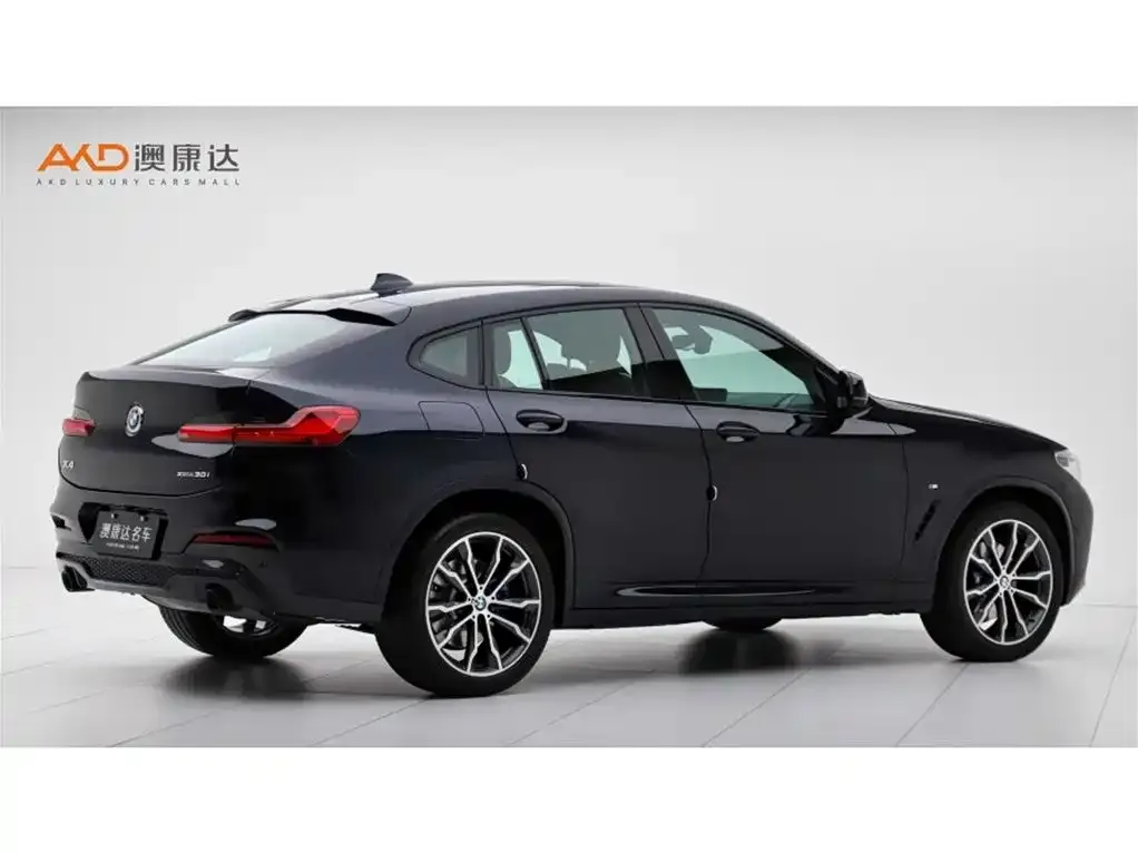BMW X4 2021 из CN, фото 2